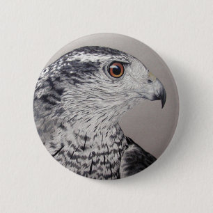 Northern Goshawk 6 Cm Round Badge