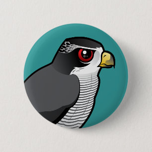 Northern Goshawk 6 Cm Round Badge