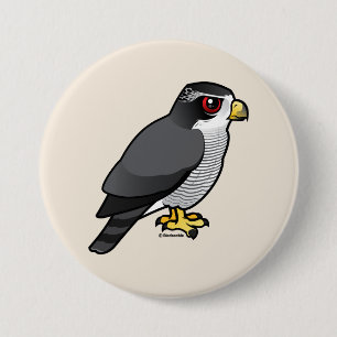Northern Goshawk 7.5 Cm Round Badge
