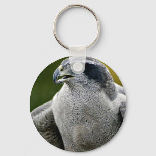 Northern Goshawk Key Ring