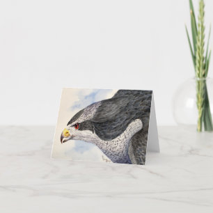 Northern Goshawk Note Card
