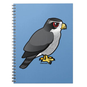 Northern Goshawk Notebook