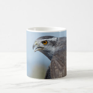 Northern Goshawk Screeching Coffee Mug