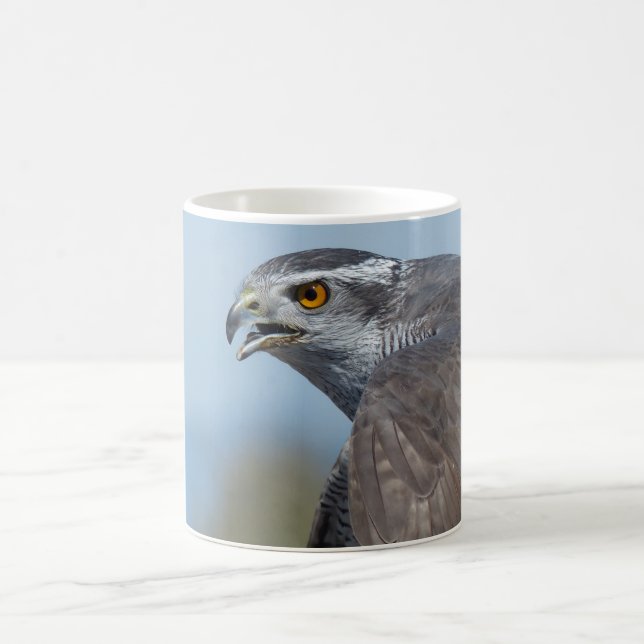 Northern Goshawk Screeching Coffee Mug (Center)