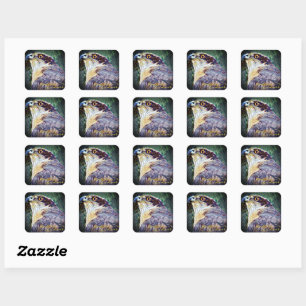 Northern Goshawk [Square Seal] Square Sticker