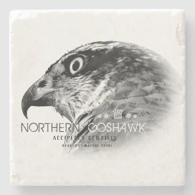 Northern Goshawk Stone Coaster (Front)