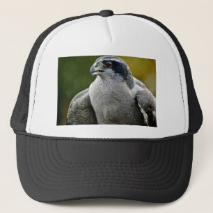 Northern Goshawk Trucker Hat