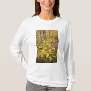 Northern hardwood forest in New Hampshire USA T-Shirt