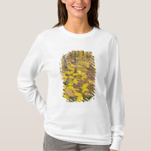 Northern hardwood forest in New Hampshire USA T-Shirt