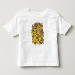 Northern hardwood forest in New Hampshire USA Toddler T-Shirt
