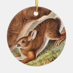Northern Hare (Lepus Americanus) Illustration Ceramic Tree Decoration