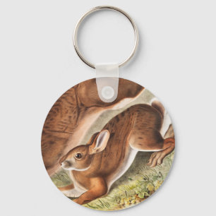 Northern Hare (Lepus Americanus) Illustration Key Ring