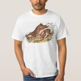 Northern Hare (Lepus Americanus) Illustration T-Shirt