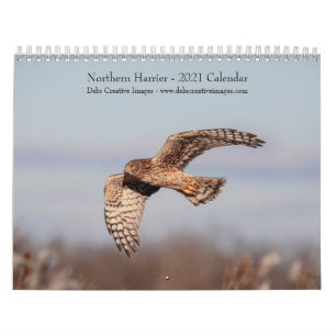 Northern Harrier 2021 Calendar