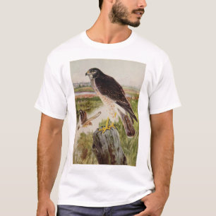 Northern Harrier, 2 ages T-Shirt