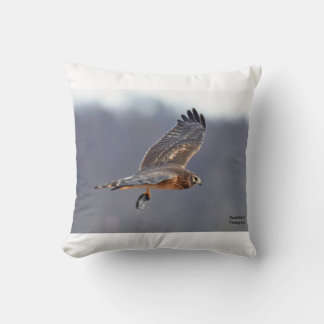 Northern Harrier Cushion