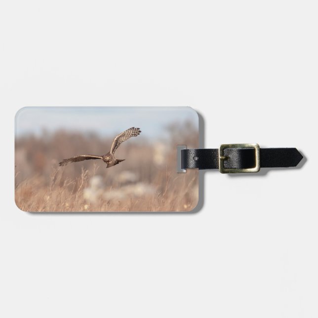 Northern Harrier Luggage Tag (Front Horizontal)