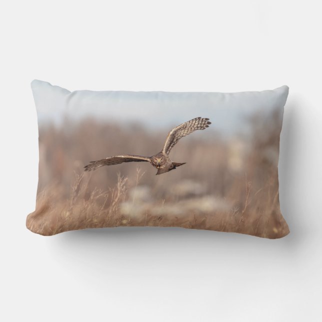 Northern Harrier Lumbar Cushion (Front)