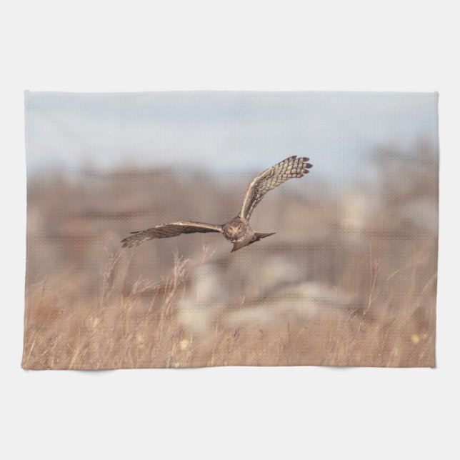 Northern Harrier Tea Towel (Horizontal)