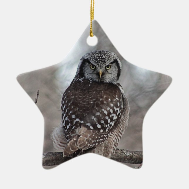 Northern Hawk Owl Ceramic Tree Decoration (Front)