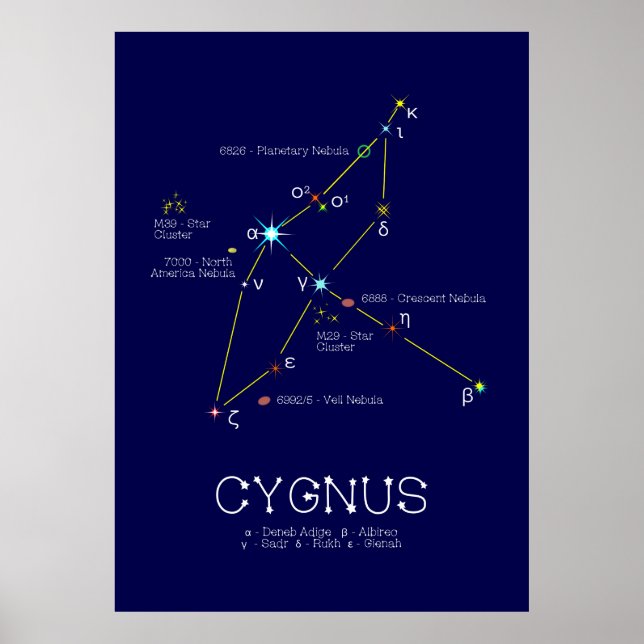 Northern Hemisphere Constellation Cygnus Poster (Front)