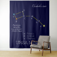 Northern Hemisphere Constellation Ursa Minor