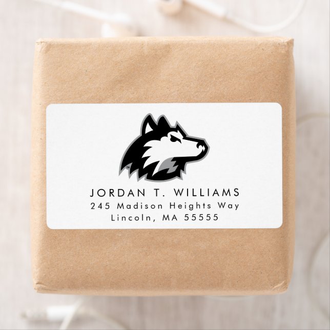 Northern Illinois Huskies (Insitu)