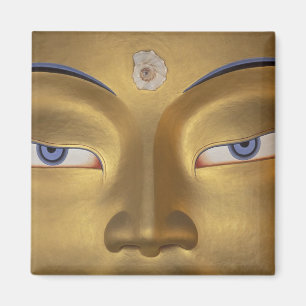 Northern India, Ladakh, Thikse gompa Magnet