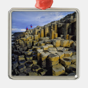 Northern Ireland, County Antrim, Giant's Metal Tree Decoration