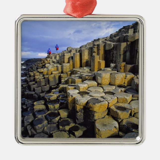 Northern Ireland, County Antrim, Giant's Metal Tree Decoration (Front)