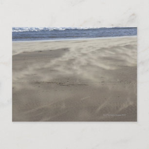 northern Ireland Postcard