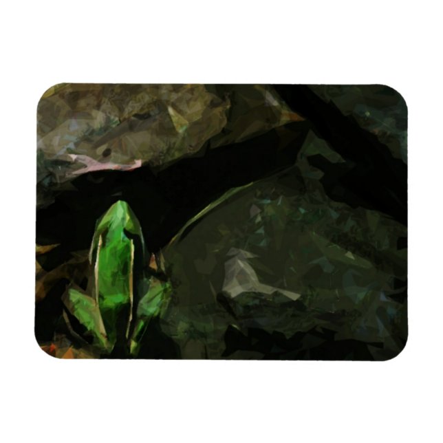 Northern Leopard Frog on Rocks Abstract Magnet (Horizontal)