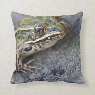 Northern Leopard frog, See-through Island, Cushion