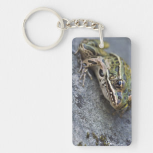 Northern Leopard frog, See-through Island, Key Ring