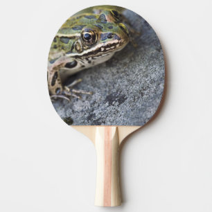 Northern Leopard frog, See-through Island, Ping Pong Paddle