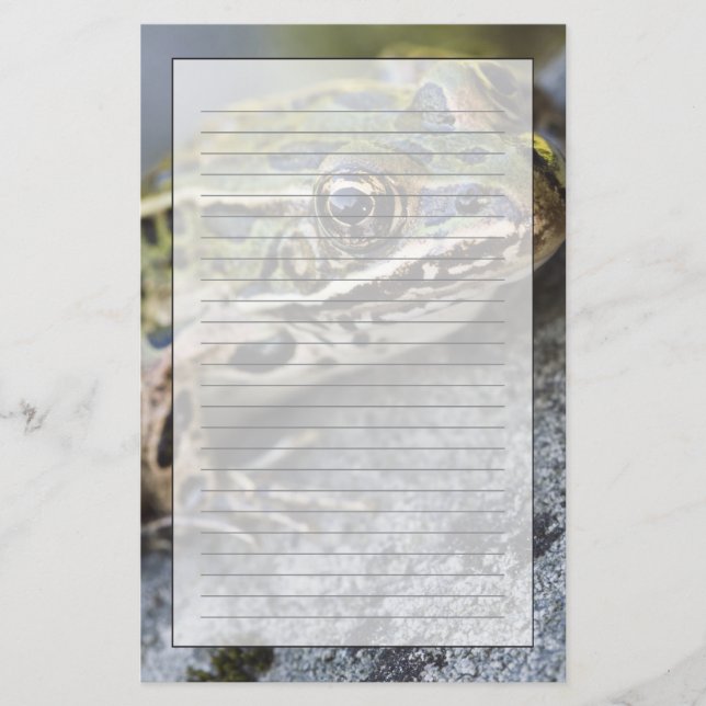 Northern Leopard frog, See-through Island, Stationery (Front)