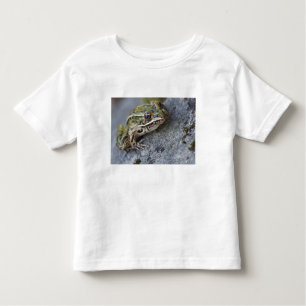 Northern Leopard frog, See-through Island, Toddler T-Shirt