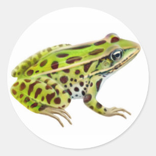 Northern Leopard Frog Sticker