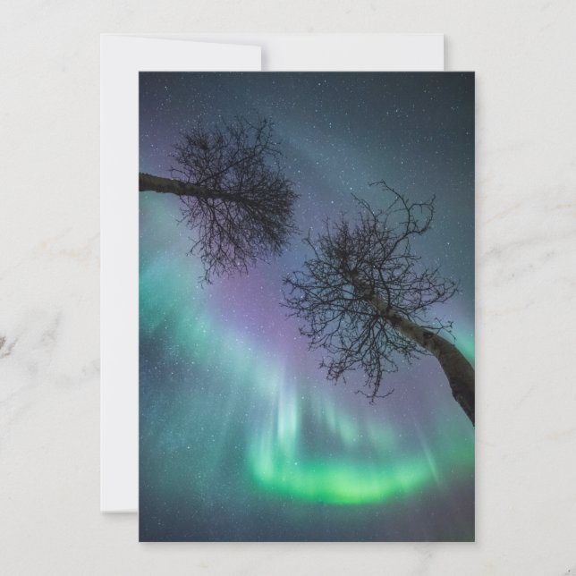 Northern Light Trees Card (Front)