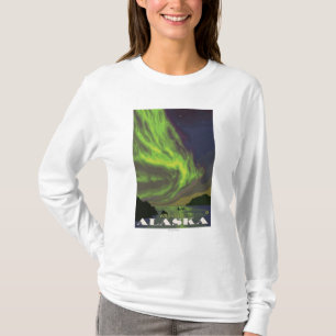 Northern Lights and Orcas - Wrangell, Alaska T-Shirt