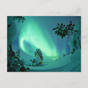 Northern Lights at Winter Postcard