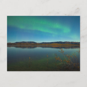 Northern lights (Aurora borealis) Postcard