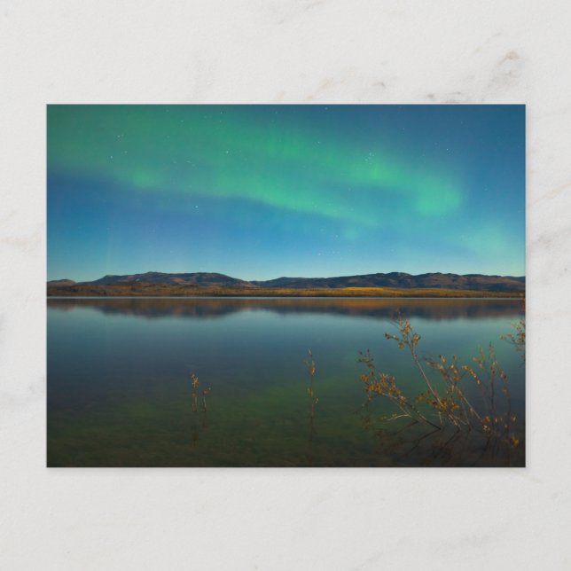 Northern lights (Aurora borealis) Postcard (Front)
