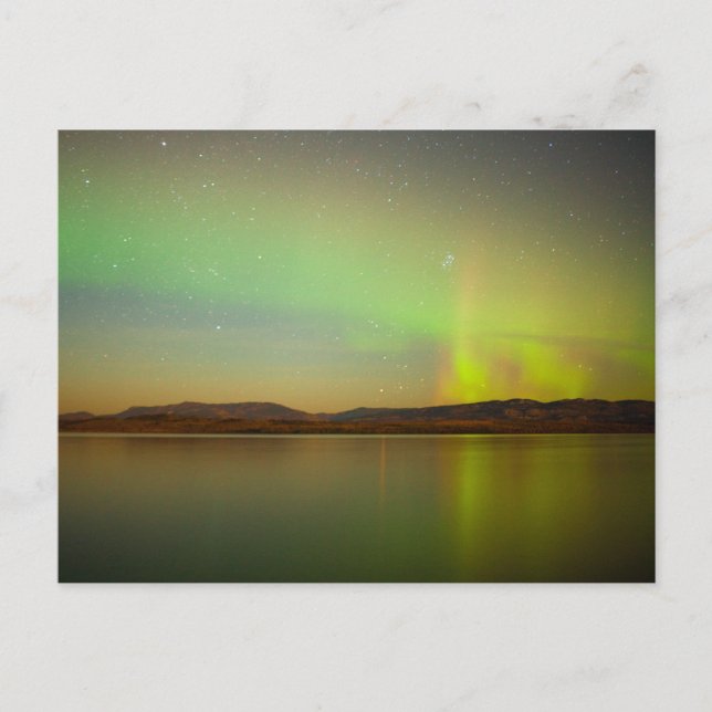 Northern lights (Aurora borealis) Postcard (Front)