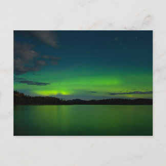 Northern lights (Aurora borealis) Postcard