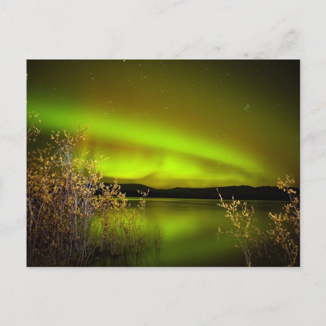 Northern lights (Aurora borealis) Postcard (Front)