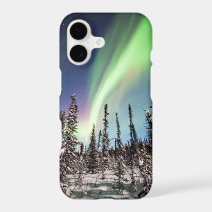 Northern Lights   Denali National Park