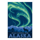 Northern Lights - Denali National Park, Alaska