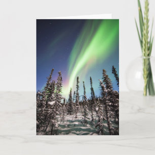 Northern Lights Denali National Park Card