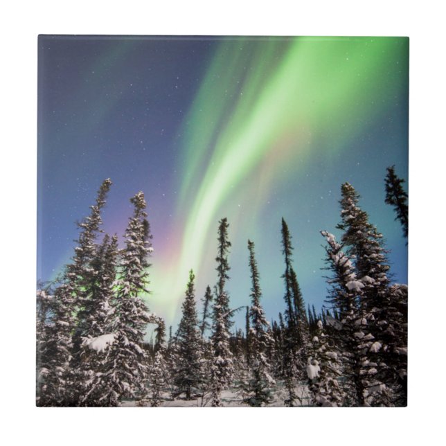 Northern Lights | Denali National Park Tile (Front)